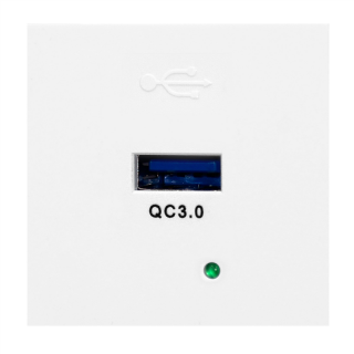 NOEN USBQ, port modułowy 45x45mm z ładowarką USB quick charge 3A/5V; 2A/9V; 1,5A/12V, biały  OR-GM-9010/W/USBQ/ORN