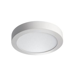 Oprawa oświetleniowa LED Carsa V2LED 18W-NW-W  28949/KAN