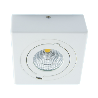 Oprawa sufitowa COB LED IGOR LED D 9W WHITE NW  03128/IDE