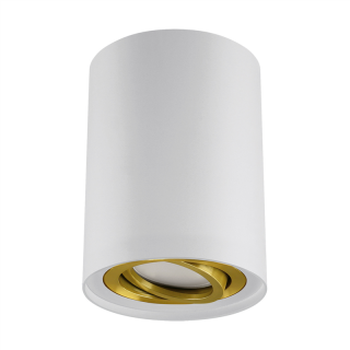 Oprawa sufitowa HARY C GU10 WHITE/GOLDEN  04239/IDE
