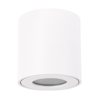 Oprawa sufitowa ZORBA DWL GU10 WHITE  03954/IDE