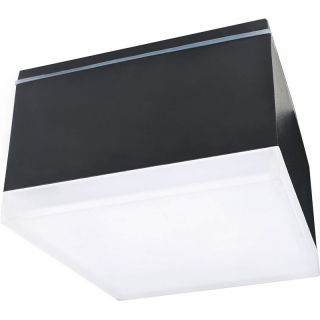 RIKO-S 10W NW 800lm - Oprawa LED elewacyjna  GXPS152/GRE