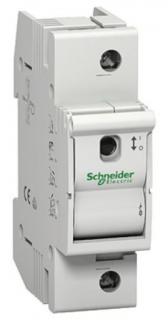Rozłącznik bezpiecznikowy D02-63-1 63A 1-biegunowy bez wkładek; MGN02163, SCHNEIDER ELECTRIC  MGN02163/SCH