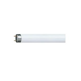 Świetlówka LEDtube G13 600mm 8W 800lm 840 4000K neutralna biel 20000h, kl.en. F, opk=20szt; PILA  872790097107100/PHP