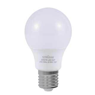 Żarówka SMD LED ERSTE LED E27 10W CW  04512/IDE
