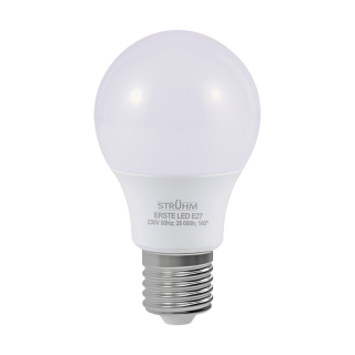 Żarówka SMD LED ERSTE LED E27 10W WW  02754/IDE