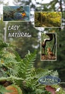 DVD LASY NATURALNE (KAS361) DVD LASY NATURALNE (KAS361)