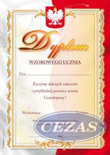 DYPLOM WZOROWEGO UCZNIA (DYP018) DYPLOM WZOROWEGO UCZNIA (DYP018)