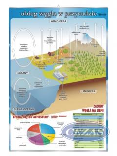 PLANSZA OBIEG WĘGLA W PRZYRODZIE (CHE924) PLANSZA OBIEG WĘGLA W PRZYRODZIE (CHE924)