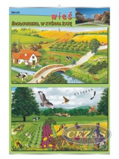 PLANSZA WIEŚ-ŚRODOWISKO W KTÓRYM ŻYJĘ (PRZ160) PLANSZA WIEŚ-ŚRODOWISKO W KTÓRYM ŻYJĘ (PRZ160)