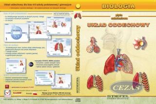 UKŁAD ODDECHOWY CZŁOWIEKA (CD) PROGRAM INTERAKTYWNY /ST/ (PRZ708) UKŁAD ODDECHOWY CZŁOWIEKA (CD) PROGRAM INTERAKTYWNY /ST/ (PRZ708)