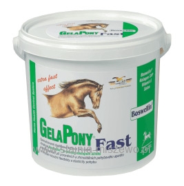 Gelapony Fast - proszek 600g