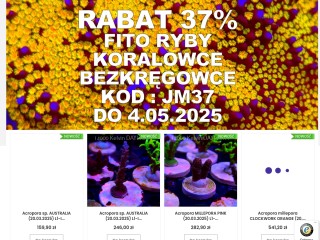 Akwarystyka morska JadwigaMorska.pl Radzyń Podlaski