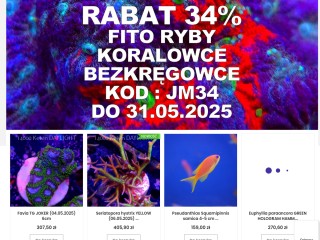 Akwarystyka morska JadwigaMorska.pl Radzyń Podlaski