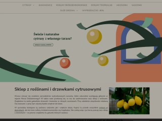 Sklep z roślinami i drzewkami cytrusowymi | sprzedaż online | Cytrusy.com.pl