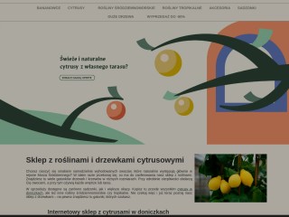 Sklep z roślinami i drzewkami cytrusowymi | sprzedaż online | Cytrusy.com.pl