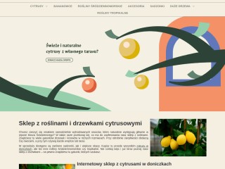 &#127818; Sklep z roślinami i drzewkami cytrusowymi - Cytrusy.com.pl