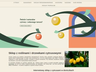 &#127818; Sklep z roślinami i drzewkami cytrusowymi - Cytrusy.com.pl