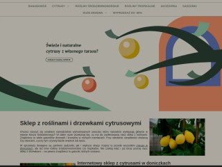 &#127818; Sklep z roślinami i drzewkami cytrusowymi - Cytrusy.com.pl