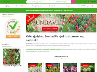 Internetowy sklep ogrodniczy, byliny, rośliny i kwiaty do ogrodu, ponad 800 produktów! - sprzedaż wy