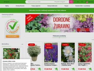 Internetowy sklep ogrodniczy, byliny, rośliny i kwiaty do ogrodu, ponad 800 produktów! - sprzedaż wy