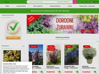 Internetowy sklep ogrodniczy, byliny, rośliny i kwiaty do ogrodu, ponad 800 produktów! - sprzedaż wy